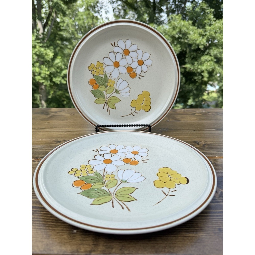 Floral Expressions Summertime Dinner Plates Set of 2 Japan Heartside Stoneware 1